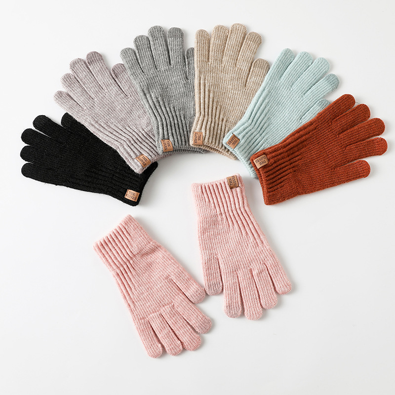 Women Winter Thickened Fleece  - Wool Glove Lined recension och pris